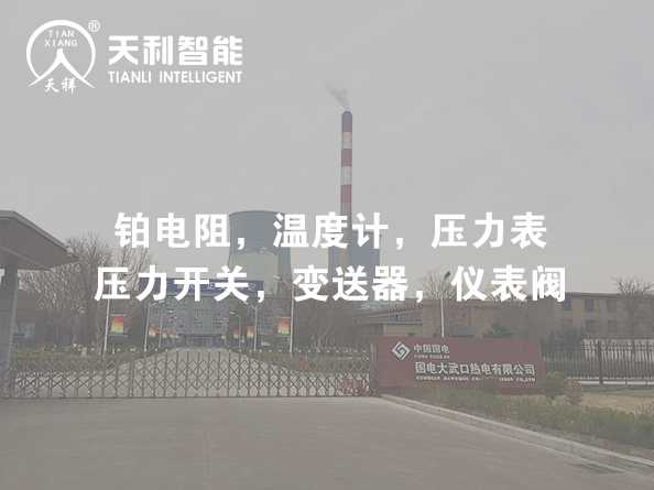 國(guó)電大武口熱電有限公司2*350MW熱電聯(lián)產(chǎn)機(jī)組擴(kuò)建